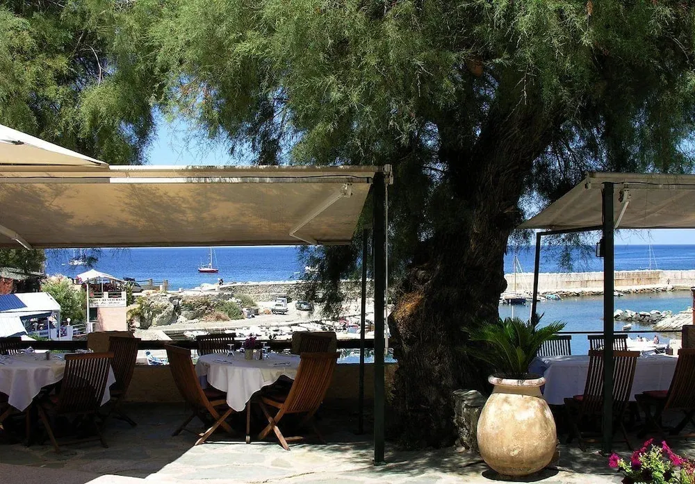 Tables de restaurant en terrasse ombragées face à la mer.