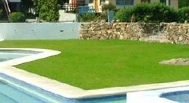 Pelouse verte bordant une piscine et un mur de pierre.