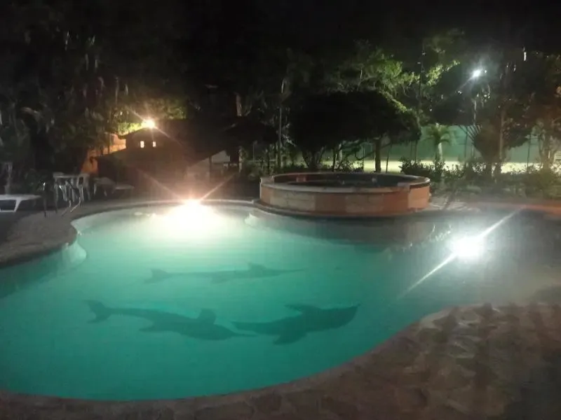 Piscine illuminée au crépuscule avec des silhouettes de poissons au fond.