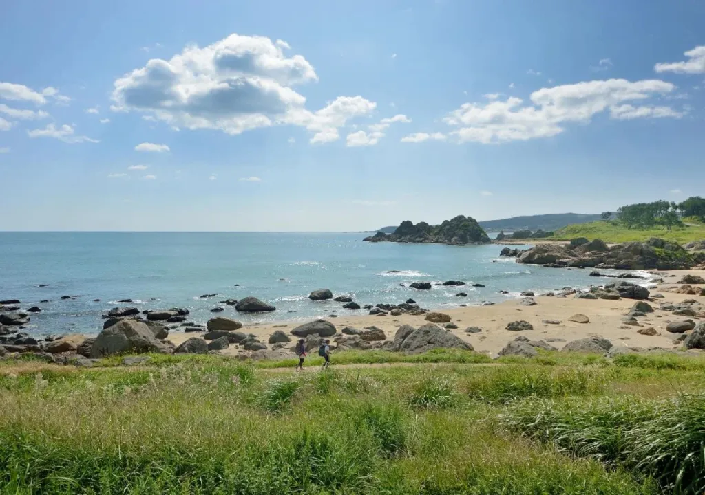 Une plage de sable et de rochers bordée d'herbe verte sous un ciel nuageux.
