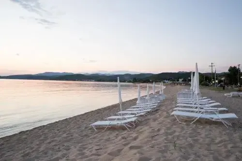 Transats blancs alignés sur une plage de sable au coucher du soleil.