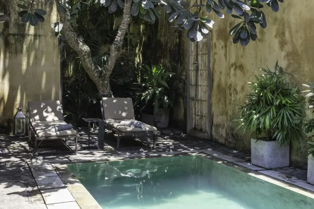 Deux transats gris sont placés au bord d'une piscine rectangulaire dans un jardin ombragé.