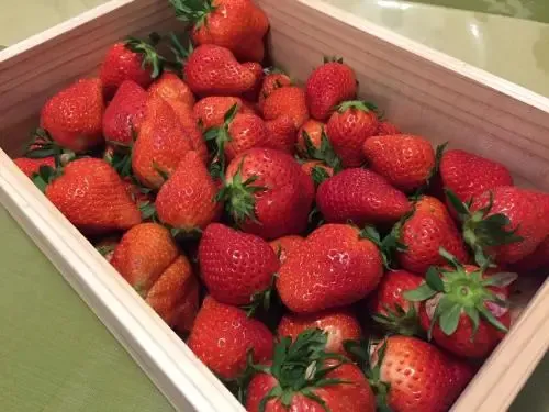 Des fraises rouges et fraîches remplissent une caisse en bois.