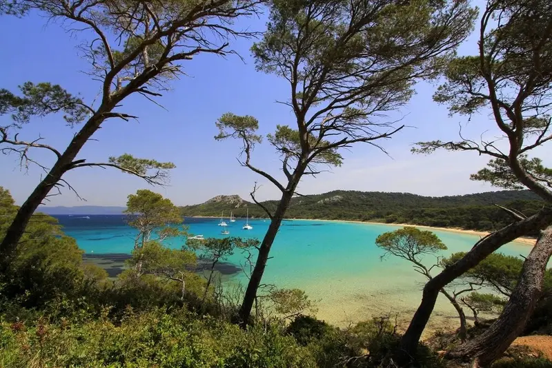 Une crique turquoise bordée de pins et de sable fin.