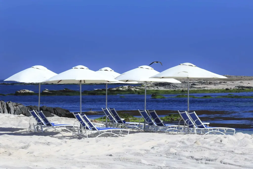 Transats blancs sous des parasols sur une plage de sable fin face à la mer.