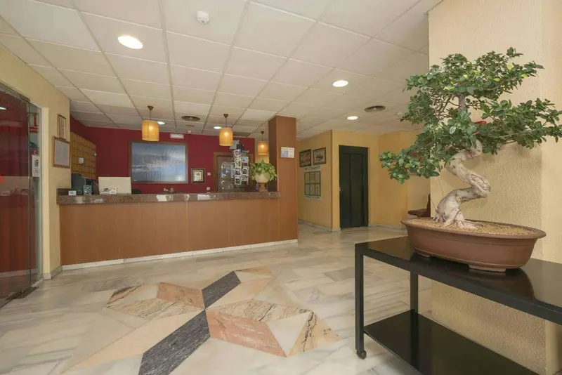 Hall d'entrée lumineux avec un comptoir d'accueil et une plante décorative.