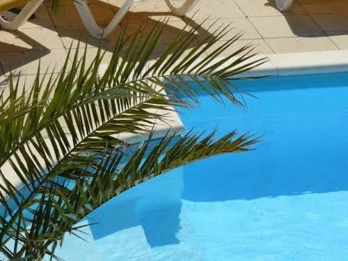 Une piscine bordée d'une terrasse ensoleillée et ombragée par une végétation luxuriante.