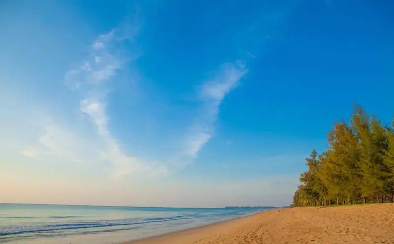 Plage de sable fin bordée de végétation sous un ciel bleu nuageux.