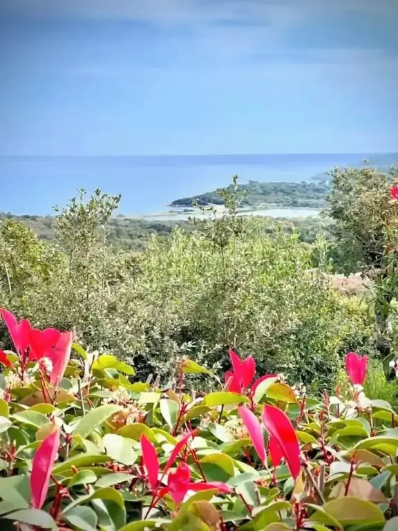 Photo de l’hôtel
