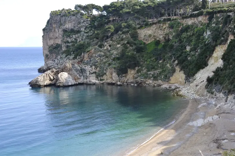 Une plage de galets bordée de falaises verdoyantes se trouve au pied d'une colline.