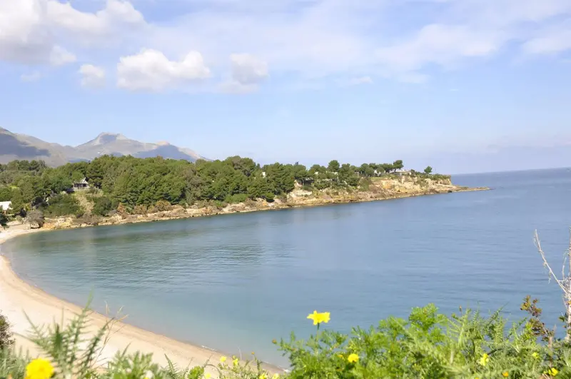 Une plage de sable fin borde une mer calme, avec une végétation luxuriante et des montagnes en arrière-plan.