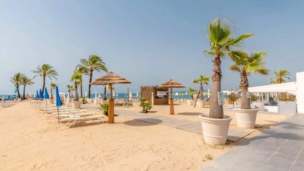 Transats alignés sur une plage de sable fin bordée de palmiers et d'ombrelles.