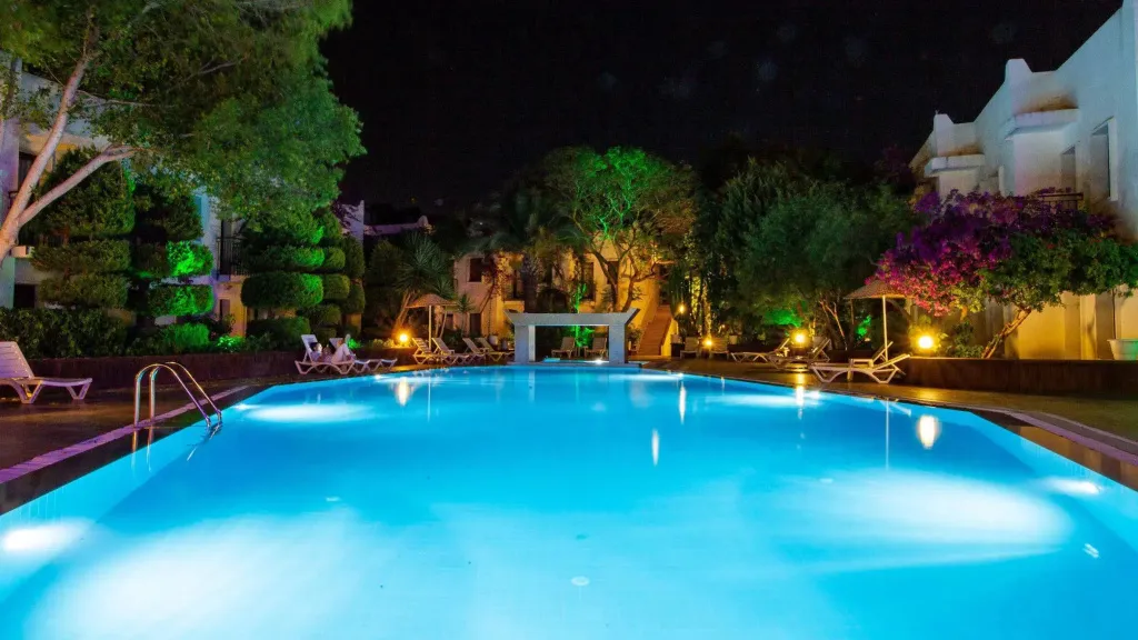 Piscine illuminée au crépuscule, entourée de végétation et de chaises longues.