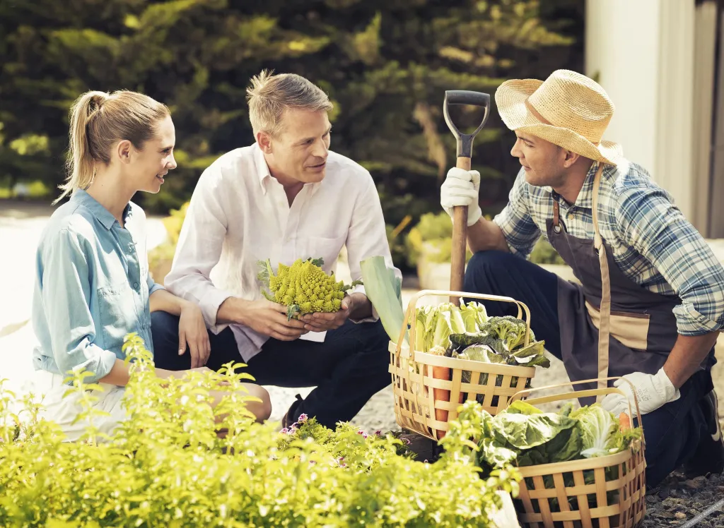 Trois personnes discutent au milieu d'un potager ensoleillé.
