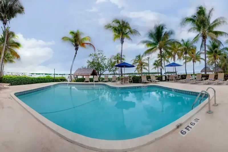 Une piscine rectangulaire bordée de chaises longues sous des palmiers.