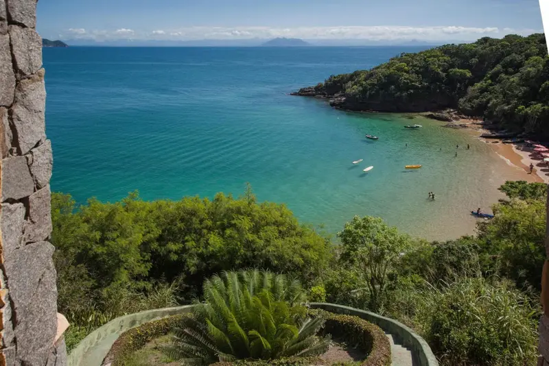 Vue aérienne d'une crique bordée de végétation et de sable fin.