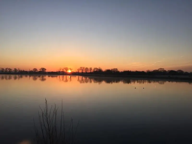 Reflets orangés du soleil couchant sur une étendue d'eau calme bordée d'arbres.