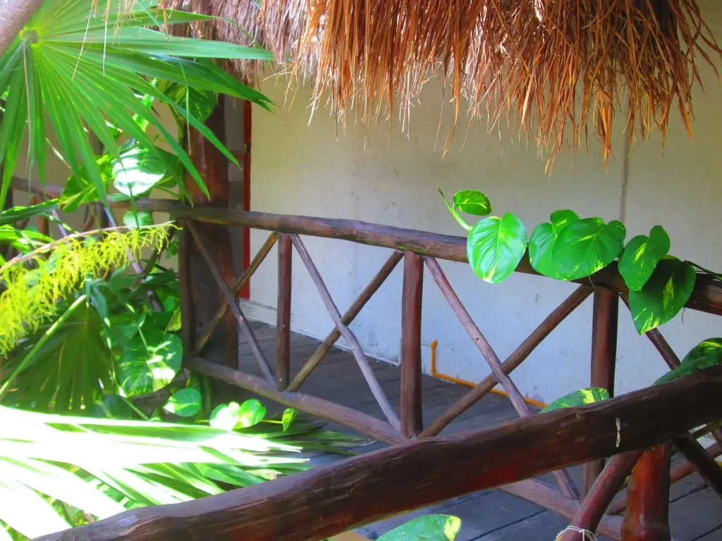 Balcon en bois ombragé par une toiture de chaume et entouré de végétation luxuriante.