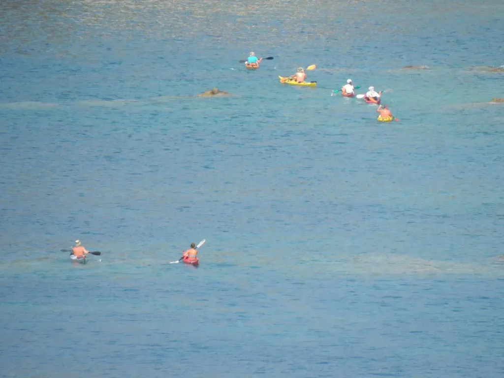 Plusieurs personnes naviguent sur l'eau à l'aide de pagaies.