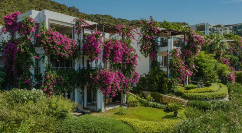 Photo de l’hôtel