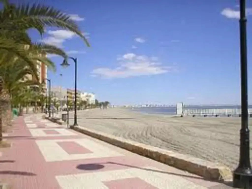 Une promenade en bord de mer avec une plage de sable et des palmiers.