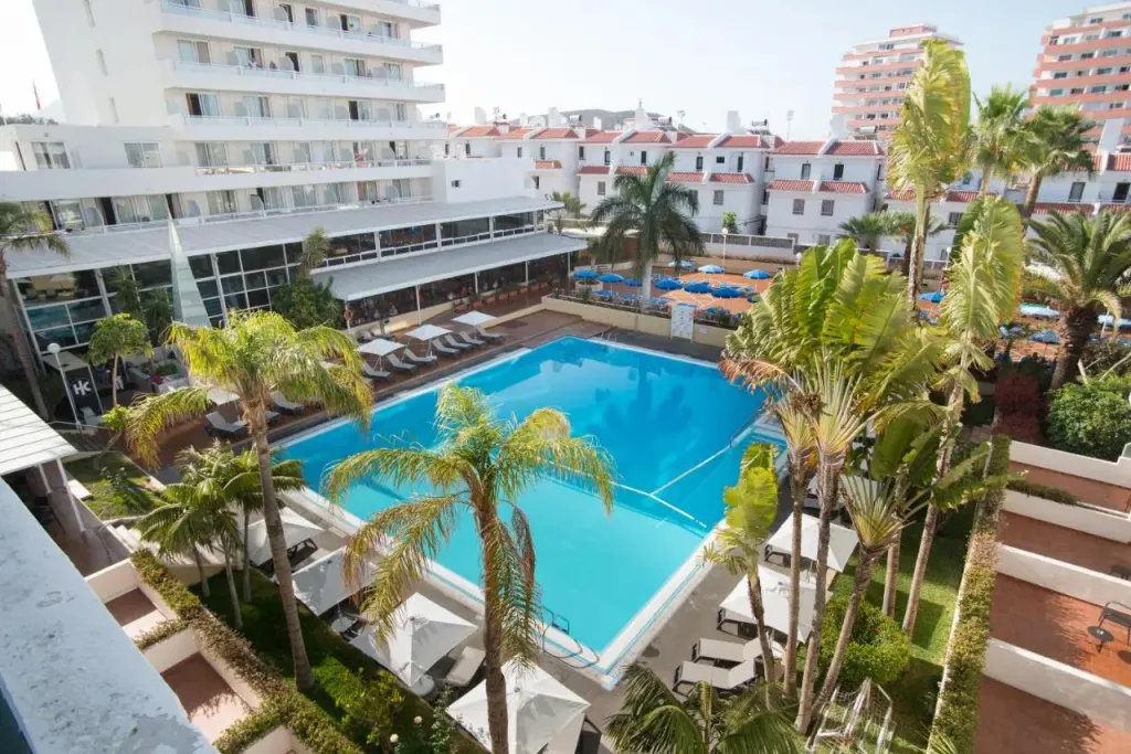Vue aérienne d'une piscine rectangulaire entourée de palmiers et de transats.