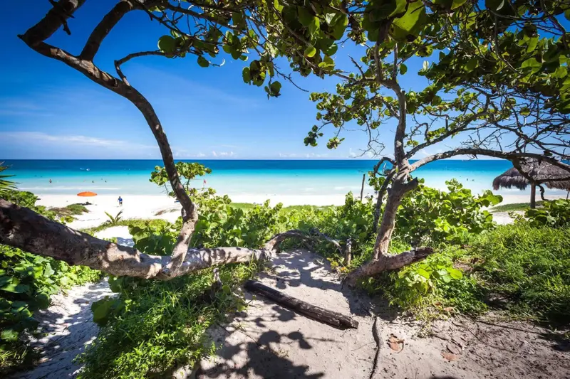 Un sentier sablonneux mène à une plage de sable blanc bordée d'eau turquoise.