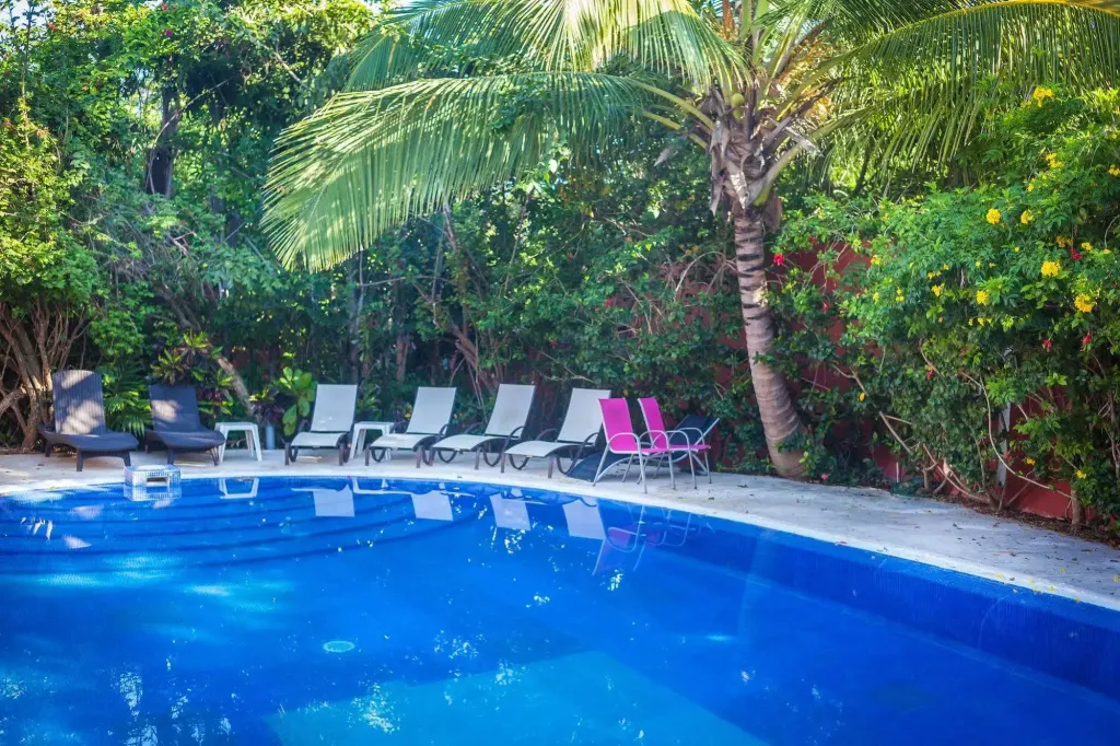 Transats alignés au bord d'une piscine entourée de végétation tropicale.