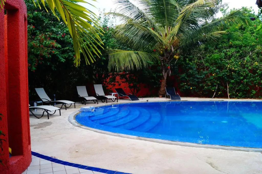 Transats alignés au bord d'une piscine circulaire entourée de végétation tropicale.