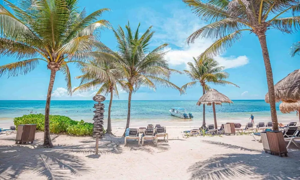 Transats alignés sur une plage de sable blanc bordée de palmiers sous un ciel bleu.