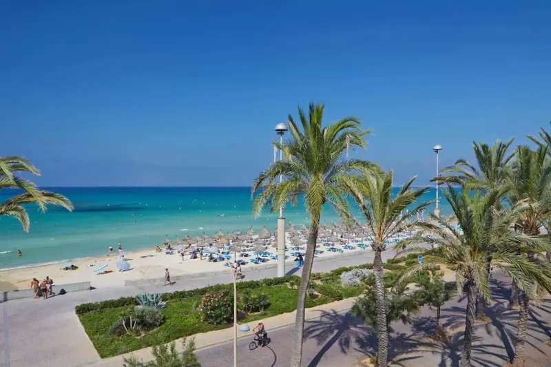 Vue aérienne d'une plage de sable fin bordée de palmiers et de parasols.