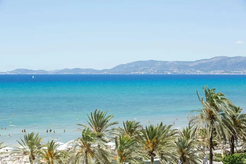 Vue sur une plage de sable fin et une mer turquoise sous un ciel bleu.