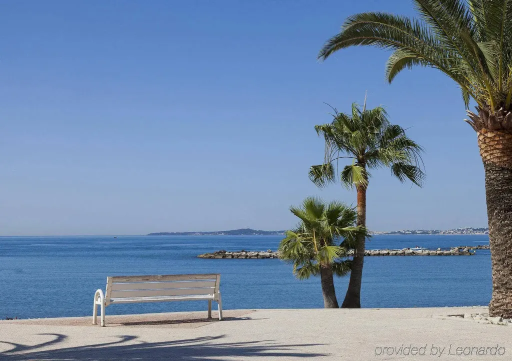 Une promenade en bord de mer avec un banc et des palmiers.