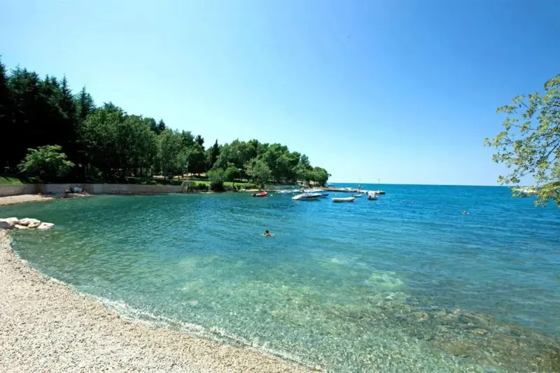 Une plage de galets bordée d'une eau turquoise et d'une végétation luxuriante.