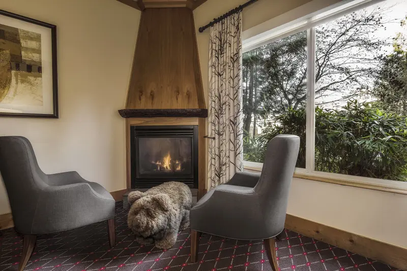 Un coin salon chaleureux avec deux fauteuils et une cheminée.