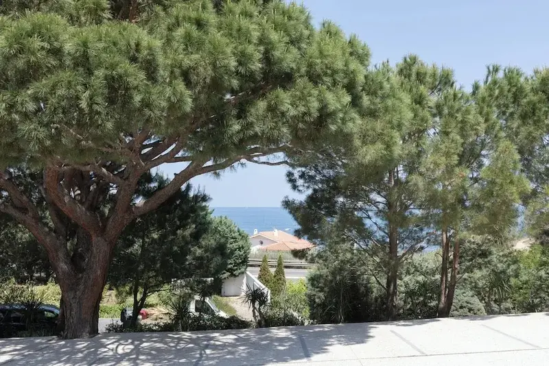 Photo de l’hôtel
