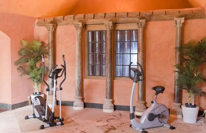 Une salle de sport lumineuse avec des appareils d'exercice et des plantes.