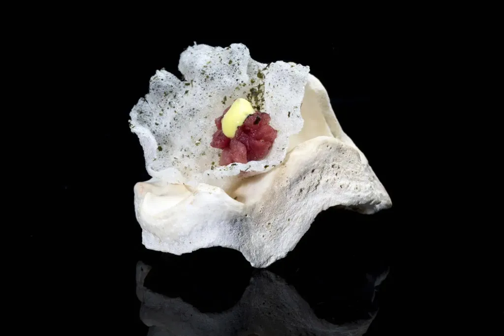 Présentation gastronomique d'un plat de poisson cru dans une coquille.