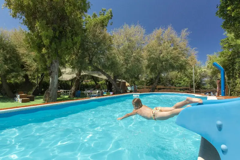 Un enfant plonge dans une piscine ensoleillée, entourée de végétation.