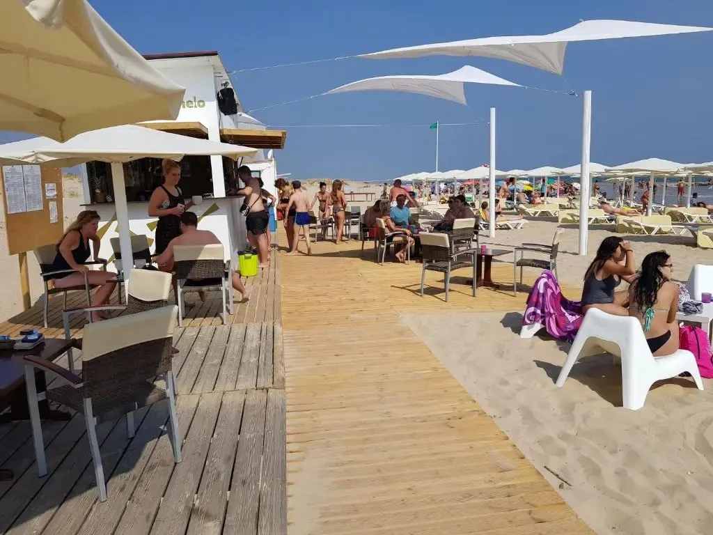 Terrasse en bois donnant sur une plage ensoleillée avec des transats et des parasols.