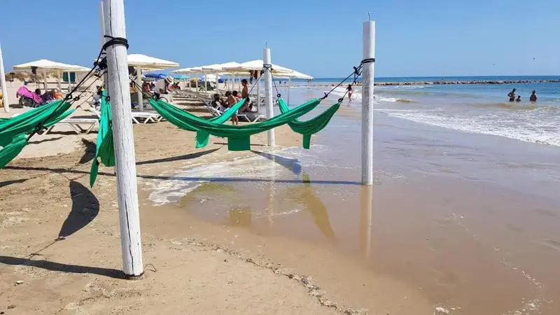 Hamacs verts tendus sur le sable d'une plage ensoleillée.