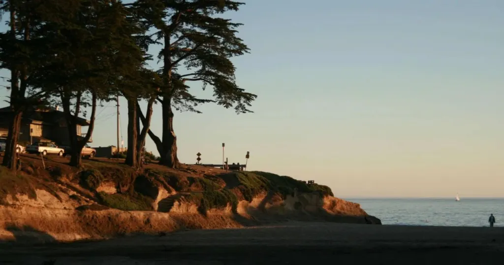 Une plage bordée de falaises et de végétation, avec une vue sur la mer au coucher du soleil.