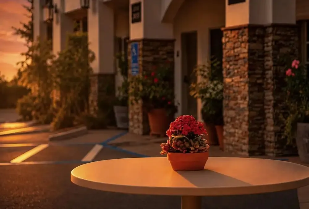 Une table ronde ornée d'une plante fleurie se trouve devant un bâtiment aux murs en pierre.