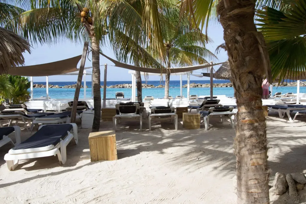 Transats alignés sur une plage de sable blanc ombragée par des palmiers et des voiles.