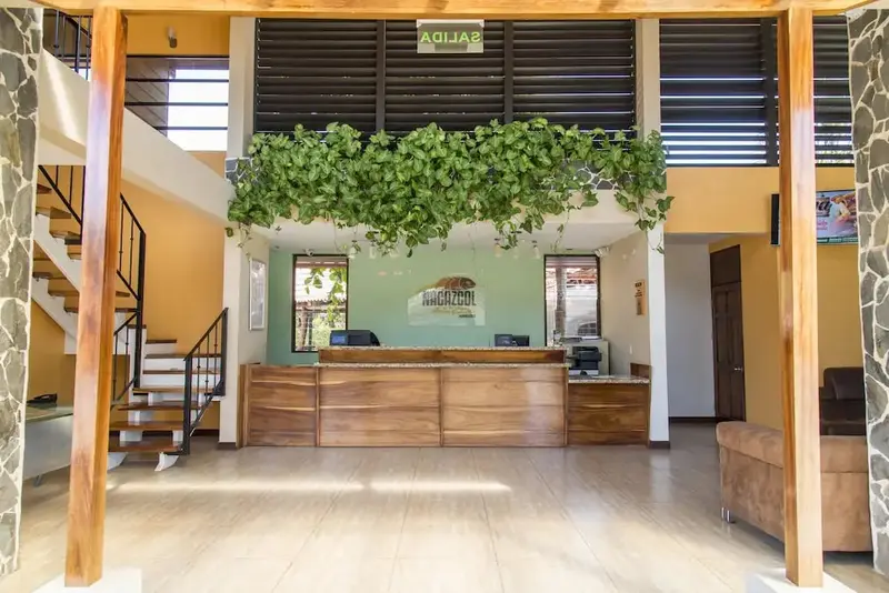Hall d'accueil lumineux avec un comptoir en bois et une décoration végétale.