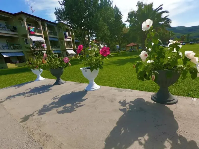 Des pots de fleurs colorées ornent une terrasse ensoleillée devant un bâtiment.
