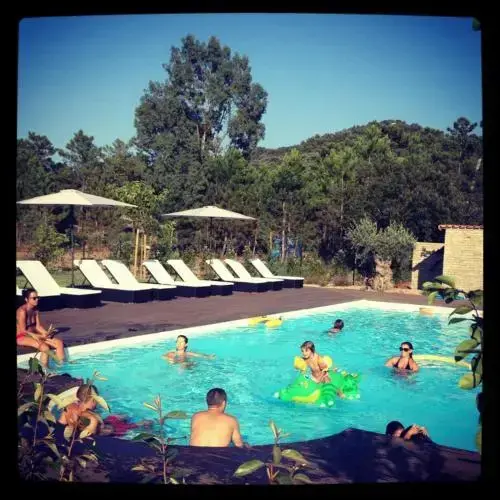 Une piscine ensoleillée avec des personnes se relaxant au bord et dans l'eau.