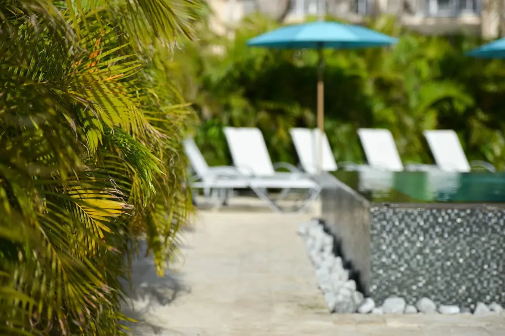Transats blancs alignés au bord d'une piscine bordée de végétation tropicale.