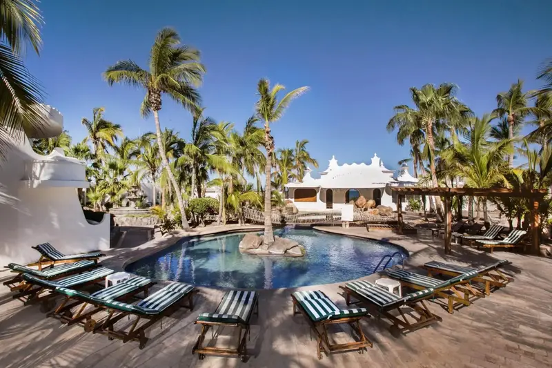 Piscine ensoleillée entourée de chaises longues et de végétation tropicale.