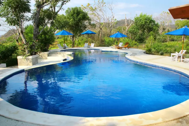 Une piscine bleue sinueuse avec des transats et des parasols bleus.